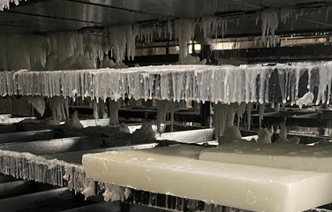 Paraffin section process and precautions